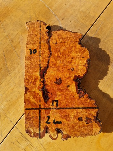 Alder burl burr wood slab - burr,