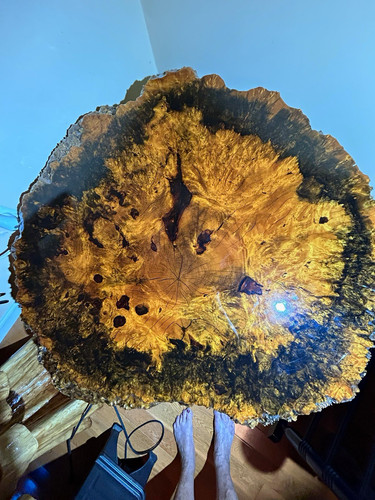California buckeye live edge - california,