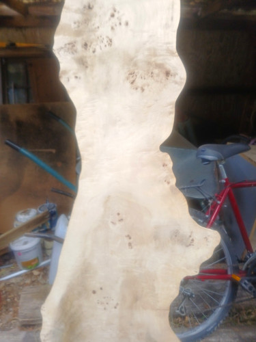 Live edge birch - live,