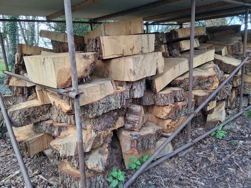 Large oak slabs chunks - oak, slabs/chunks