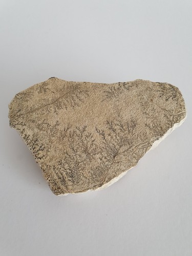 Natural slab dendritic - slab,