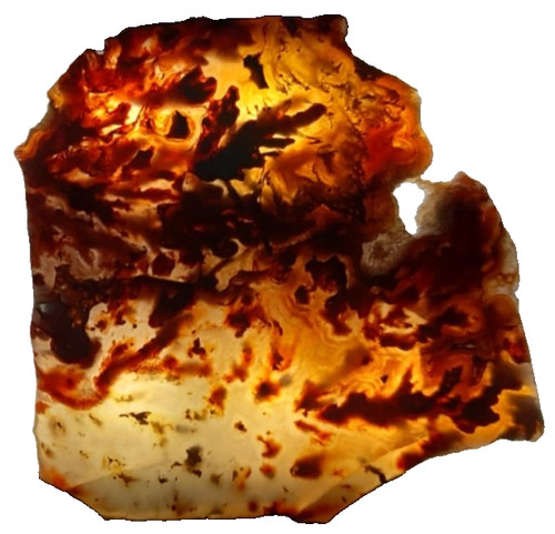 Thinly sliced polished agate - polished,