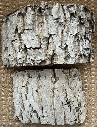 4kg box natural walnut - box,