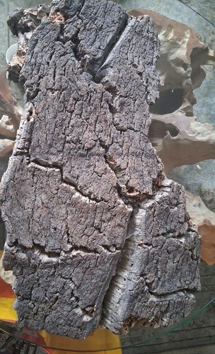 Large cork bark - cork,