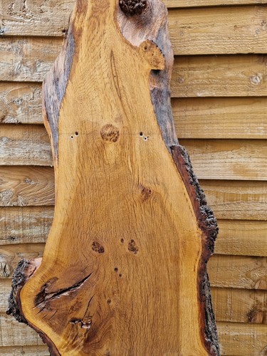 Hardwood live edge wood slab - hardwood,