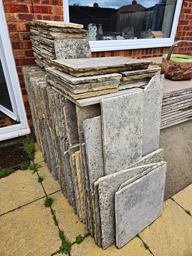 Fossil mint sawn indian - mint,