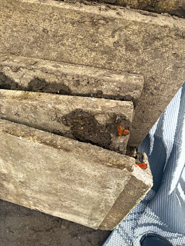 Grey square stone - stone, paver