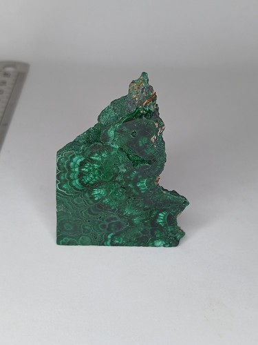 Malachite slab slice specimen - malachite,